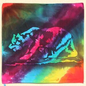 Bandana Handcrafted California Bear SoCal Hippie Rainbow Colorful Head Cover